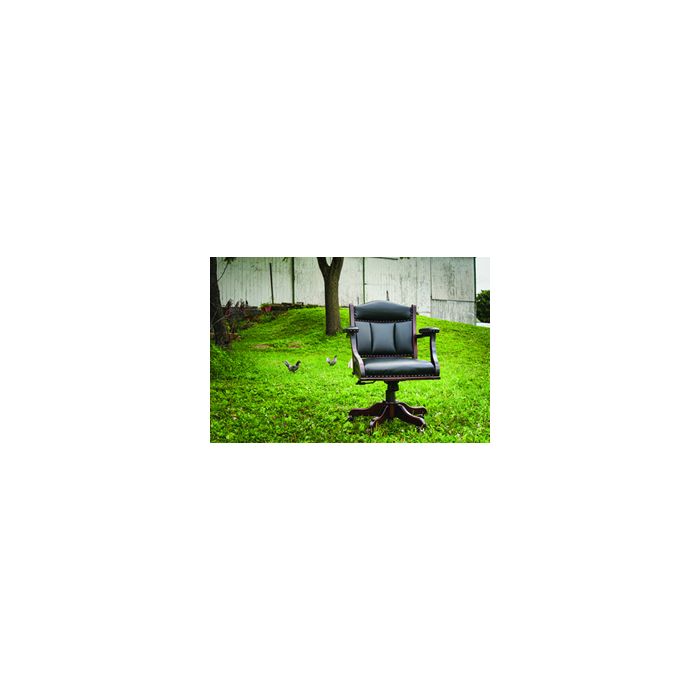 Desk Chair w/ Low Back