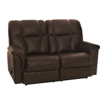 100 Collection Loveseat